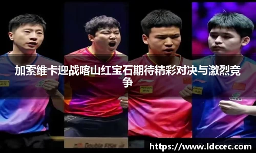 加索维卡迎战喀山红宝石期待精彩对决与激烈竞争